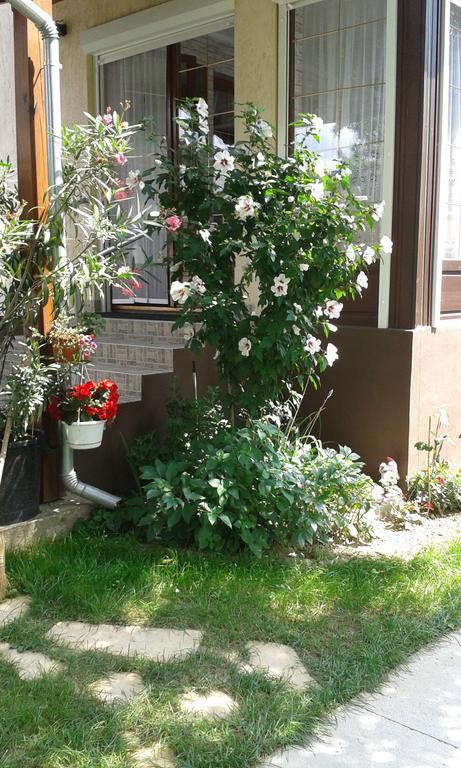 Holiday Apartmanhaz Zalakaros Exterior foto